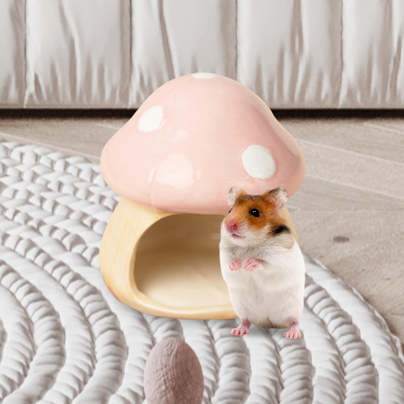 Cogumelo de cerâmica hamster e - Hide Cave Ceramic avaliação e preço