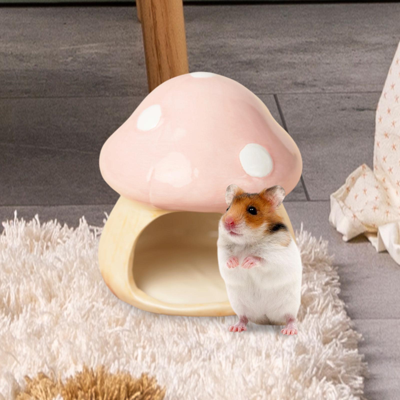 Cogumelo de cerâmica hamster e - Hide Cave Ceramic avaliação e preço