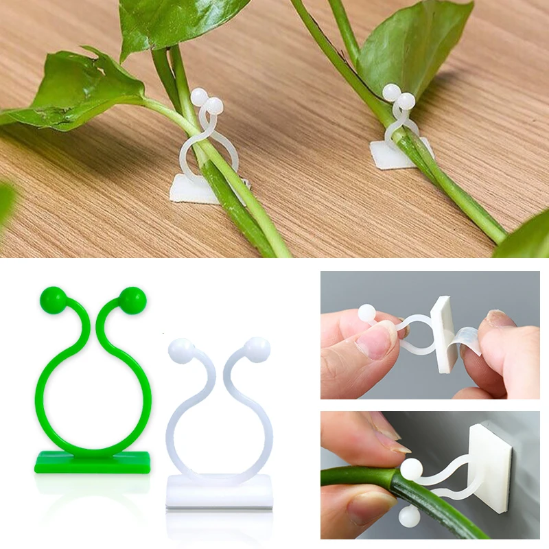 Planta de escalada parede auto - Vine Climbing Plastic avaliação e preço