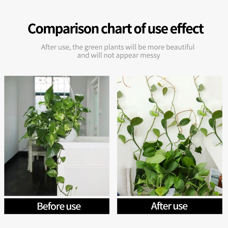 Planta de escalada parede auto - Vine Climbing Plastic avaliação e preço